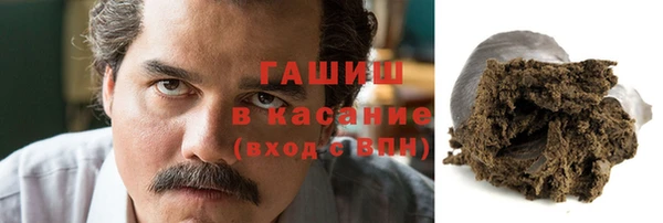 стаф Алексин