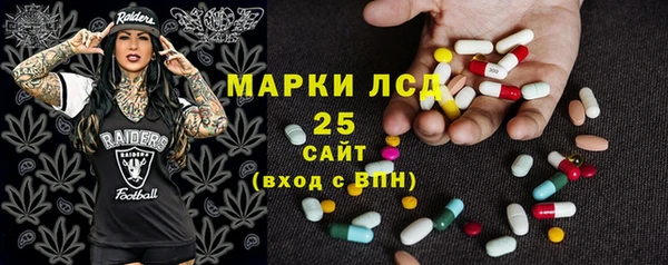 стаф Алексин
