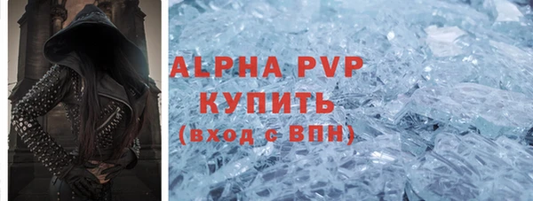 стаф Алексин