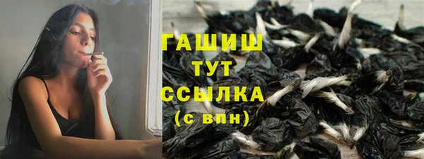стаф Алексин