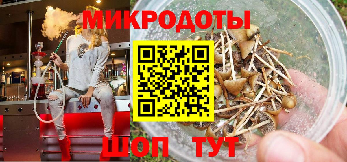 Лабинск  Псилоцибиновые грибы мицелий  Вход с VPN 